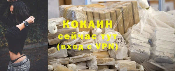 гашик Михайловка