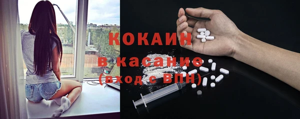 гашик Михайловка