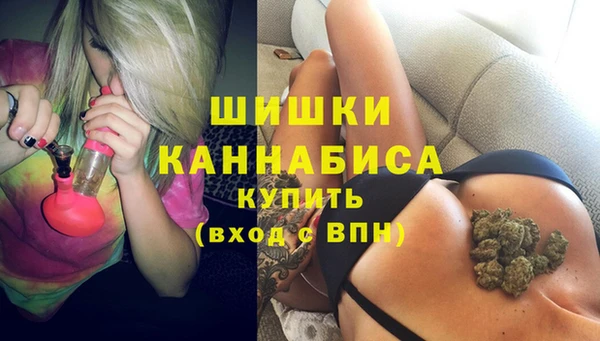 мдпв Михайловск