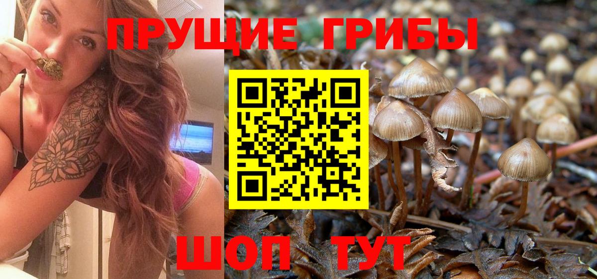 Галлюциногенные грибы Psilocybe  Маркс 
