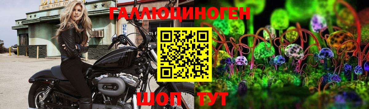 Галлюциногенные грибы мицелий Маркс